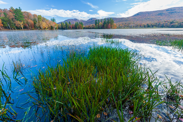 Autumn;Blue;Botanical;Calm;Cloud;Cloud Formation;Clouds;Cloudy;Fall;Forest;Forested;Healing;Health care;Healthcare;Hill;Mirror;Mountain;Mountain Side;Mountain Top;Mountainous;Nature;New England;Pastoral;Plant;Ripple;Timber;Timberland;Tree;United States;Vermont;Water;Waterscape;Wood;Woodland;Woods;botanicals;foliage;grass;green;hillside;lake;landscape;oneness;orange;peaceful;plants;pool;red;reflection;reflections;restful;serene;sky;soothing;tranquil;trees;zen