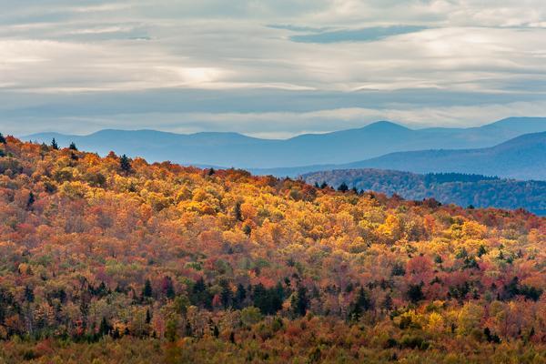 Abstract;Abstraction;Autumn;Blue;Branches;Calm;Cloud;Cloud Formation;Clouds;Fall;Forest;Habitat;Hill;Hills;Hilltop;Mountain;Mountain Side;Mountainous;Mountains;Mountainside;Nature;New England;Pastoral;Seasons;Sunlight;Sunshine;Timber;Timberland;Tree;United States;Vermont;Wood;Woodland;Woodlands;Woods;Yellow;green;hillside;landscape;leaves;limbs;oneness;orange;pattern;peaceful;plants;red;restful;serene;sky;soothing;sunlit;tranquil;tree limbs;trees;zen