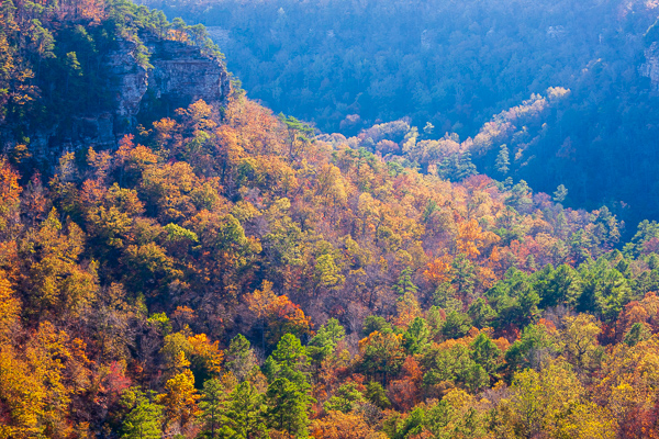 Alabama;Autumn;Blue;Bluff;Brown;Calm;Fall;Forest;Forested;Fort Payne;Habitat;Healthcare;Hill;Little River Canyon;Little River Canyon National Preserve;Mountain;Mountain Side;Mountain Top;Mountainous;Mountains;Pastoral;Pinnacle;Precipice;Rock Face;Summit;Sunlight;Sunshine;Timber;Timberland;Tree;United States;Valley;Wood;Woodland;Woodlands;Woods;Yellow;cliff;hillside;oneness;orange;peaceful;restful;serene;soothing;sunlit;tranquil;trees;zen