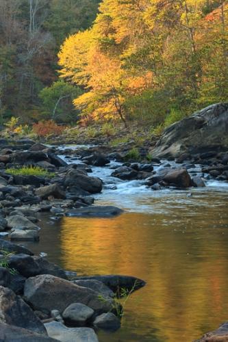 Alabama;Autumn;Blue;Blues;Boulder;Brook;Brown;Calm;Chute;Cool;Cool Colors;Cool Palette;Cool Tones;Creek;Fall;Falling;Falls;Flow;Forest;Fort Payne;Geological;Geology;Habitat;Healing;Health care;Healthcare;Image type;Landscape;Little River Canyon National Preserve;Photo specs;River;River Bed;Riverbed;Rivers;Rock;Rock formations;Rocks;Seasons;Spilling;Stone;Stones;Stream;Timber;Timberland;United States;Water;Waterfalls;Wood;Woodland;Woodlands;Woods;blue;color;gray;green;peaceful;rapids;restful;serene;soothing;striation;tranquil;waterfall;waterway;wet