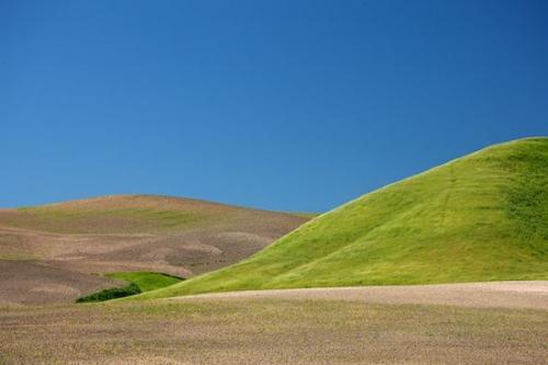 Peaceful;California;Landscape;Pastoral