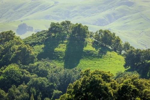 California;Grass;Green;Healing;Health care;Healthcare;Hillock;Hills;Hillside;Hilltop;Image type;Landscape;Mountainous;Outdoor;Peaceful;Photo specs;Tree;Trees;calm;restful;serene;soothing;tranquil