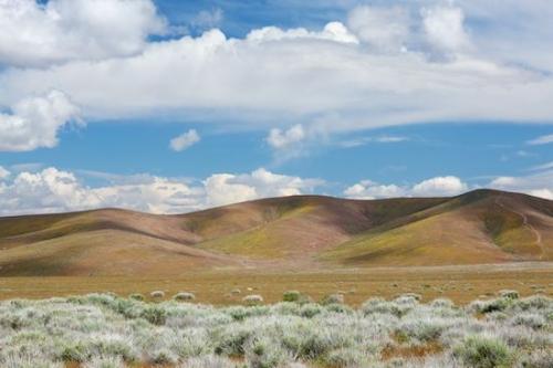 Green;Blue;Hills;Cloud;grass;Hill;Hilltop;Yellow;Gold;Cloud Formation;California;Hillock;Sky;Brown;Antelope Valley;Hillside;Tan;Clouds