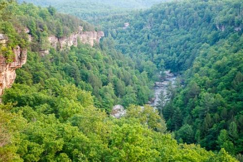 Bluff;Boulder;Boulders;Brook;Couchville Cedar Glade State Natural Area;Crag;Creek;Cumberland Plateau;Escarpment;Ledge;Precipice;River;River Bed;Riverbed;Rivers;Rock;Rock Face;Rock formations;Rocky;Stream;Tan;Tennessee;Tree;Warm Colors;Warm Palette;Warm Tones;Water;cliff;color;gray;green;trees;waterway
