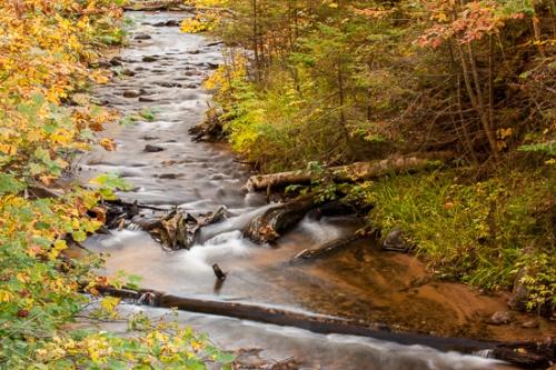 Autumn;Boulder;Boulders;Brook;Brown;Creek;Fall;Flow;Forest;Forested;Gold;Great Lakes;Michigan;Nature;Pastoral;Ripple;River;Rock;Rocks;Rocky;Stone;Stones;Stream;Stream Bank;Tan;Timber;Timberland;Tree;United States;Upper Peninsular;Water;Waterscape;Wood;Woodland;Woodlands;Woods;Yellow;contemporary;flowing;green;landscape;leaves;oneness;orange;rapids;red;reflection;reflections;river bank;trees;wet;zen