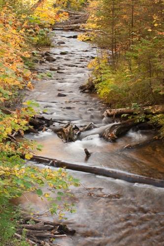 Autumn;Boulder;Boulders;Brook;Brown;Creek;Fall;Flow;Forest;Forested;Gold;Great Lakes;Michigan;Nature;Pastoral;Ripple;River;Rock;Rocks;Rocky;Stone;Stones;Stream;Stream Bank;Tan;Timber;Timberland;Tree;United States;Upper Peninsular;Water;Waterscape;Wood;Woodland;Woodlands;Woods;Yellow;contemporary;flowing;green;landscape;leaves;oneness;orange;rapids;red;reflection;reflections;river bank;trees;wet;zen