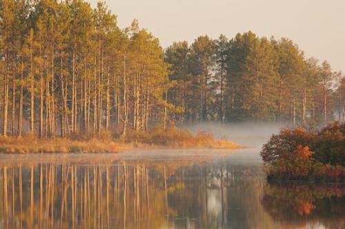 Tree;Autumn;Seasons;Timberland;Wood;Timber;Seney National Wildlife Refuge;Forest;reflection;Water;Mist;reflections;Trees;lake;Michigan;Fall;water;Wooded area;Misty;Woodland;Haze;Upper Peninsular;Fog;Season;Woodlands;Woods;Great Lakes