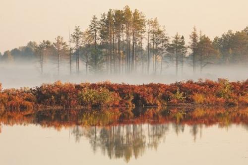 First Light;Green;Misty;Foggy;Great Lakes;Obscured;Brown;Sun-up;Reflections;trees;Red;Daybreak;Water;Yellow;Forest;Mist;Haze;Fog;Morning;Upper Peninsular;Michigan;tree;Orange;Dawn;White;Seney National Wildlife Refuge;Break of Day;Gold;Reflection