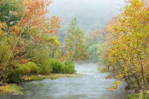 Autumn;Brook;Brown;Calm;Creek;Fall;Flow;Flowers & Plants;Fog;Gold;Healing;Health care;Healthcare;Leaf;Mist;Modern;Nature;New River Gorge;Obscured;Pastoral;River;Stream;Stream Bank;Tan;Water;Waterscape;West Virginia;Yellow;artsite;flowing;foggy;foliage;green;haze;landscape;leaves;misty;oneness;orange;peaceful;rapids;restful;river bank;serene;soothing;tranquil;zen