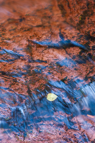 Adams Falls;Blue;Botanical;Brook;Brown;Calm;Cascade;Cascading;Chute;Cool;Creek;Fallen;Fallen Leaves;Falling;Falls;Flow;Healing;Health care;Healthcare;Leaf;Macro;Mirror;Nature;Pastoral;Pennsylvania;Pouring;Ricketts Glenn State Park;Ripple;River;Spilling;Stream;Stream Bank;Streaming;United States;Wabi Sabi;Water;Waterfalls;Waterscape;Yellow;flowing;foliage;oneness;peaceful;rapids;reflection;reflections;restful;river bank;serene;soothing;tranquil;waterfall;wet;zen