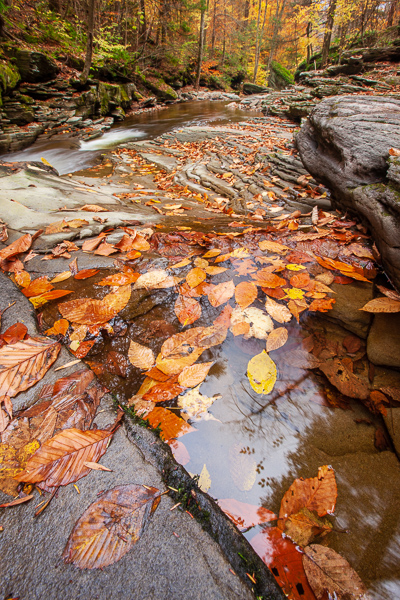 Autumn;Boulder;Boulders;Branches;Brown;Calm;Cascade;Chute;Creek;Fall;Fallen Leaves;Falls;Flow;Forest;Forested;Gold;Healthcare;Horizontal;Leaf;Minimalism;Nature;Pastoral;Pennsylvania;Pouring;Ricketts Glenn State Park;Ripple;River;Rock;Rock formations;Rocks;Rocky;Stone;Stones;Stream;Stream Bank;Streaming;Tan;Timber;Timberland;Tree;United States;Wabi Sabi;Water;Waterfalls;Waterscape;Wood;Woodland;Woods;Yellow;flowing;foliage;landscape;leaves;oneness;orange;peaceful;plants;rapids;reflection;reflections;restful;serene;soothing;tranquil;tree limbs;trees;waterfall;zen