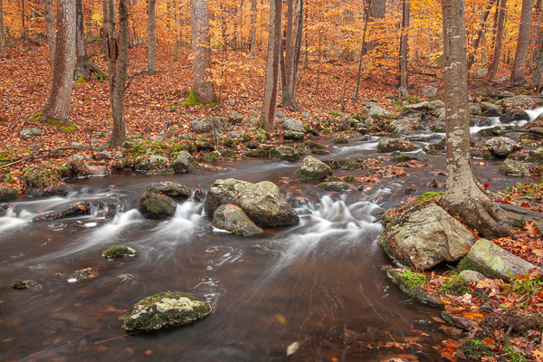 Autumn;Boulder;Boulders;Branches;Brown;Calm;Cascade;Chute;Creek;Fall;Fallen Leaves;Falls;Flow;Forest;Forested;Gold;Healthcare;Horizontal;Leaf;Minimalism;Nature;New Jersey;Pastoral;Pouring;Ripple;River;Rock;Rock formations;Rocks;Rocky;Stokes State Forest;Stone;Stones;Stream;Stream Bank;Streaming;Tan;Timber;Timberland;Tree;United States;Wabi Sabi;Water;Waterfalls;Waterscape;Wood;Woodland;Woods;Yellow;flowing;foliage;landscape;leaves;oneness;orange;peaceful;plants;rapids;reflection;reflections;restful;serene;soothing;tranquil;tree limbs;trees;waterfall;zen