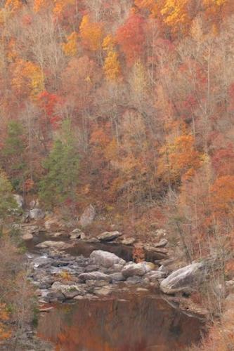 Cliff;Boulders;Outdoor;Woodland;Gold;Autumn;Woodlands;Valley;Landscape;Stones;Timber;Rock Face;Green;Orange;River;Wood;Yellow;Stone;Timberland;Wooded area;Tan;Boulder;Mountain;Rocks;Reflection;Mountains;Canyon;Trees;Brown;Mountainous;Rocky;Fall;Rock;Rock Formations;Mountainside;Alabama;Woods;Hill;Forest;Hillside;Little River Canyon National Preserve;Tree