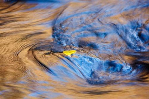 Alabama;Autumn;Blue;Boulder;Brown;Close-up;Creek;Fall;Fallen Leaves;Flow;Gold;Leaf;Little River Canyon National Preserve;Oneness;Orange;Peaceful;Rapids;Reflection;Reflections;Ripple;River;Rock;Rocks;Stone;Stones;Stream;Tan;Wabi Sabi;Water;Yellow;botanical;flowing;zen