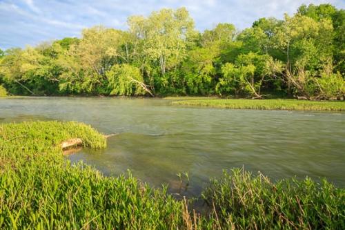 Blue;Branches;Brown;Cloud;Columbia;Duck River;Flow;Grass;Green;Healing;Health care;Healthcare;Landscape;Leaves;Nature;Oneness;Peaceful;River;Shore;Sky;Stream;Stream Bank;Summer;Summertime;Tan;Tennessee;Tree;Trees;United States;Water;Waterscape;calm;flowing;restful;river bank;serene;soothing;tranquil;zen