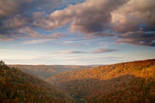 Tree;Clouds;Timberland;Cumberland Plateau;Red;Timber;Woods;Sky;Trees;Wooded area;Cloud;Autumn;Big South Fork National Recreation Area;Brown;Woodland;River;Woodlands;Weather;Wood;Tan;Forest;Gold;Blue;Cloud Formation;Fall;Yellow