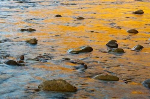 Gold;reflection;water;Stone;Blue;Brown;Boulder;Boulders;Orange;reflections;Big South Fork National Recreation Area;Rock;Stream;flow;Stones;Sunlit;Sunlight;Cumberland Plateau;river;Yellow