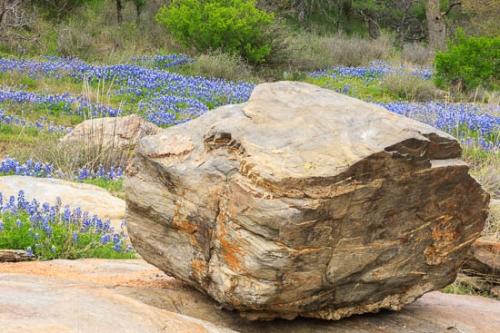 Bloom;Blossom;Blossoms;Blue;Bluebonnet;Bluebonnets;Boulder;Boulders;Brown;Flower;Floweret;Flowering;Flowers;Geology;Gold;Green;Healing;Health care;Healthcare;Landscape;Nature;Oneness;Orange;Pastoral;Peaceful;Rock;Rock Formations;Rocks;Rocky;Stone;Stones;Striation;Tan;Texas;Texas Hill Country;United States;Wabi Sabi;Wildflower;bloom;calm;flora;floral;restful;serene;soothing;tranquil;zen