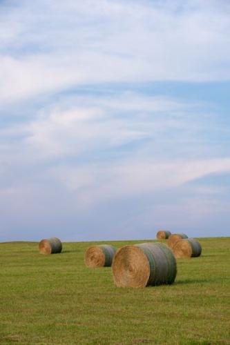 Blue;Sky;Cloud Formation;Tan;Hay Bale;Field;Green;Pastureland;Cloud;Weather;Hay;Fields;Farmland;Farm;Agriculture;Agricultural