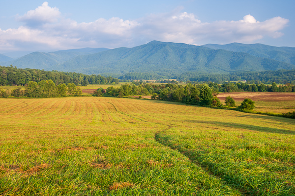 Agricultural;Agriculture;Blue;Blues;Brown;Cades Cove;Calm;Cloud;Cloud Formation;Clouds;Cool Colors;Cool Palette;Cool Tones;Farming;Fields;Forest;Forested;Gold;Great Smoky Mountains National Park;Habitat;Healing;Health care;Healthcare;Hill;Hillock;Hills;Hilltop;Minimalism;Mountain;Mountain Top;Mountainous;Mountains;Mountainside;Nature;Pastoral;Pastureland;Summit;Sunlight;Sunshine;Tan;Timber;Timberland;Tree;Valley;Wood;Woodland;Woodlands;Woods;Yellow;blue;color;field;green;hillside;landscape;oneness;pasture;peaceful;plants;restful;serene;sky;soothing;sunlit;tranquil;tree limbs;trees;zen