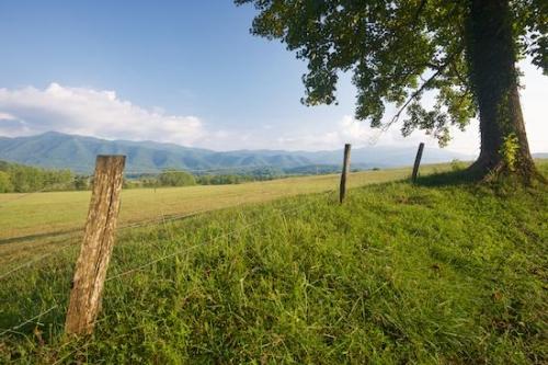 Pasture;Hillside;trunk;Clouds;Hills;Green;Great Smoky Mountains National Park;Mountains;Mountainside;Pastureland;trees;Brown;Cade's Cove;fence;fence row;Blue;Cloud;branches;Mountain;Fields;Field;Hilltop;Hill;Hillock;Sky;tree;tree trunk;Valley;Weather