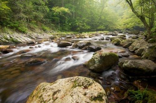 Stream;Rapids;Rocks;Boulder;tree;river;Stone;trees;Stones;Cascading;Streaming;Pouring;Boulders;Waterfalls;Waterfall;Water;Cascade;Great Smoky Mountains National Park