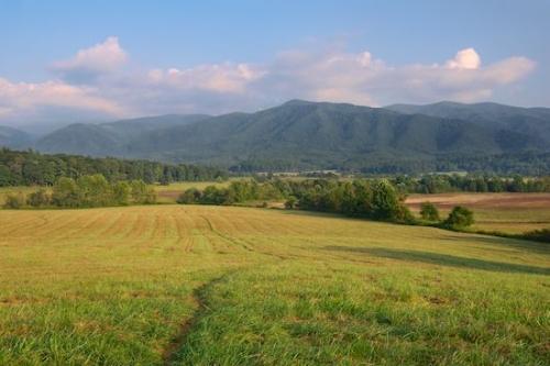 Field;Hillside;Tan;Mountainside;Brown;Clouds;Valley;Green;Cade's Cove;Hillock;Great Smoky Mountains National Park;Fields;White;Hills;Hill;Blue;Mountains;Pasture;Cloud;Pastureland;Sky;Hilltop;Mountain