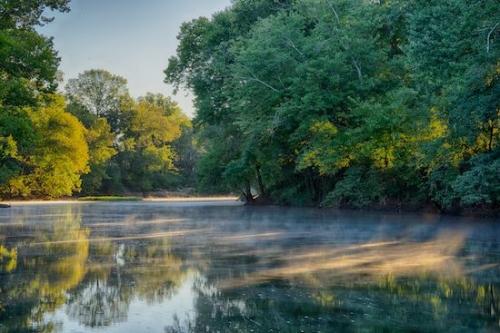 mist;Sunbeam;Sunrise;flow;Sun;Sunlit;foggy;Dawn;river;reflection;Sun-up;misty;flowing;Sunlight;fog;trees;water;Henry Horton;Sunshine;River;haze;reflections;Mirror;Sunbeams;Forest;Sunrays;tree;Morning;Duck River