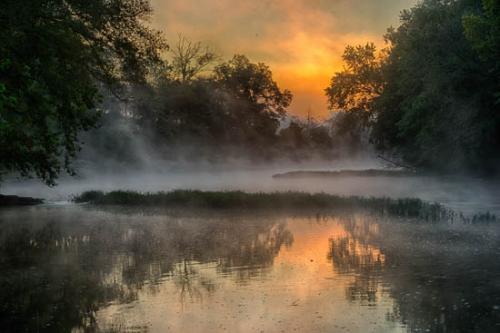 Branches;Brown;Columbia;Duck River;Flow;Gold;Henry Horton;Mist;Morning;Obscured;Orange;Plant;Reflection;Reflections;Ripple;River;Stream;Stream Bank;Sun-up;Sunlight;Sunlit;Sunrise;Sunshine;Tennessee;Trees;Water;Yellow;flowing;fog;foggy;haze;misty;river bank;tree limbs