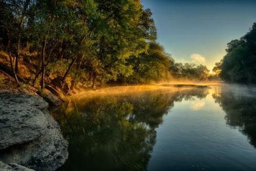 Duck River;River;Insect;Rocks;Sunlight;foggy;Pastoral;Brown;Sunrise;Oneness;Gold;Green;zen;Gray;mist;Henry Horton;Trees;fog;Sunlit;Rock;Sun-up;Sunshine;Morning;steam;haze;Peaceful