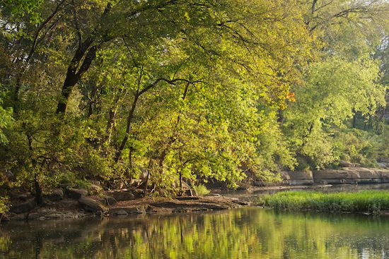 Rock;reflection;reflections;Green;Duck River;Forest;Sun-up;tree limbs;Sunlight;tree trunk;river;Brown;Rocks;Sunlit;trees;tree;Tan;water;branch;leaves;Henry Horton State Park;Mirror;flowing;Rock Formations;branches