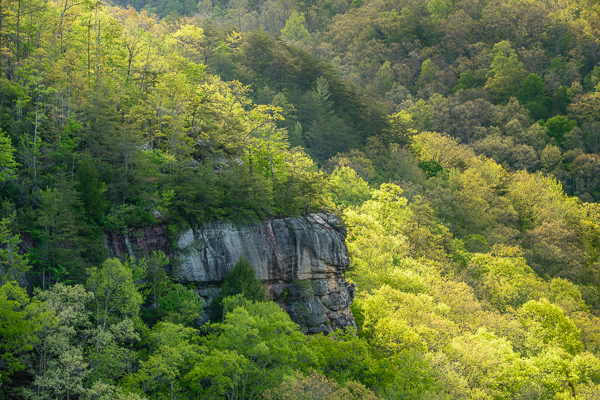 Big South Fork;Bluff;Boulder;Boulders;Branches;Calm;Forest;Forested;Healing;Health care;Healthcare;Hill;Mountain;Mountain Side;Mountain Top;Mountainous;Nature;Pastoral;Rock;Rock formations;Rocks;Rocky;Seasons;Spring;Springtime;Stone;Stones;Summit;Sunlight;Sunshine;Tennessee;Timber;Timberland;Tree;United States;Wood;Woodland;Woods;cliff;green;hillside;landscape;leaves;oneness;peaceful;plants;restful;serene;soothing;sunlit;tranquil;tree limbs;trees;zen