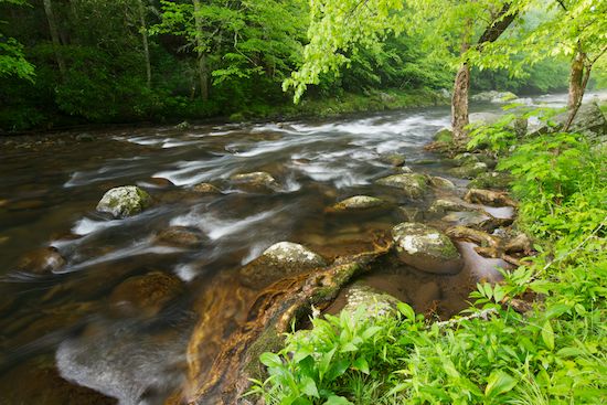 Boulders;Forest;river;Spring;Stone;Stones;Cascading;Stream;Timber;Tennessee;flow;Rocks;Great Smoky Mountains;Little River;flowing;Trees;water;Rock;Landscape;Rapids;Outdoor;Boulder;Rocky;Springtime;Tree;Timberland;Green;Cascade