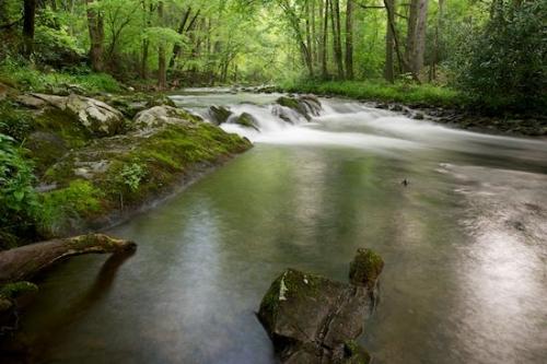 Springtime;Landscape;Green;Tennessee;Trees;flow;Rapids;Cascade;Rocky;Great Smoky Mountains;Rock;Little River;Boulder;Timberland;Tree;Rocks;Boulders;Stream;flowing;Outdoor;Spring;Timber;Stones;river;Forest;Cascading;Stone;water
