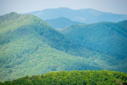 Blue;Bluff;Calm;Forest;Forested;Great Smoky Mountains;Healing;Health care;Healthcare;Hill;Mountain;Mountain Side;Mountain Top;Mountainous;Mountains;Mountainside;Nature;Pastoral;Range;Seasons;Spring;Springtime;Summit;Timber;Timberland;Tree;Wood;Woodland;Woodlands;Woods;green;hillside;landscape;leaves;oneness;peaceful;restful;serene;sky;soothing;tranquil;trees;zen