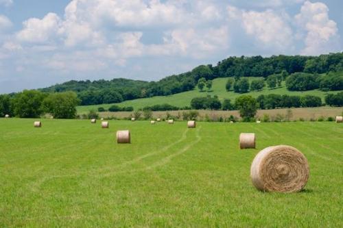Pasture;Agricultural;Forest;Clouds;Green;Blue;Cloud Formation;Hillside;Field;Tree;Hay;Sky;Tan;Hay Bale;Trees;White;Hill;Hills;Agriculture;Fields;Brown;Cloudy