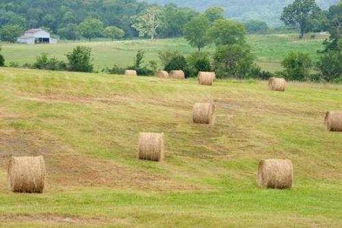 Agriculture;Farmland;Agricultural;Pasture;Farming;Hay;Hay Bale;Field;Fields;Barns;Farm;Pastureland