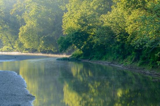 Branches;Calm;Creek;Flow;Fog;Healing;Health care;Healthcare;Indiana;Leaf;Mirror;Mist;Nature;Obscured;Pastoral;Ripple;River;Stream;Stream Bank;Sun-up;Sunlight;Sunshine;Tree;Turkey Run State Park;United States;Water;Waterscape;dawn;daybreak;flowing;foggy;green;haze;landscape;leaves;limbs;mist;misty;morn;morning;oneness;peaceful;plants;rapids;reflection;reflections;restful;river bank;serene;soothing;sunlit;sunrise;sunup;tranquil;tree limbs;trees;zen