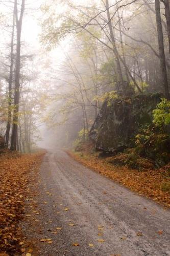 Woods;fog;foggy;zen;Peaceful;road;trail;Oneness;pathway;mist;haze;Big South Fork National Recreation Area;Forest;Hiking Trail;misty;walkway;path