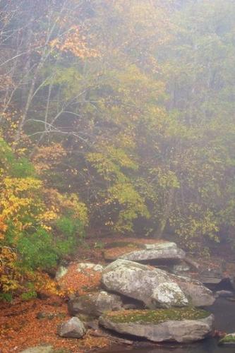 Stones;Timber;haze;foggy;fog;Tan;Wood;Tree;Woods;Big South Fork;zen;Woodland;Gray;Stone;Trees;Peaceful;river;Orange;Rock;Boulders;Woodlands;Rock Formations;Timberland;Oneness;misty;Boulder;Rocks;Green;leaves;Brown;mist;Forest