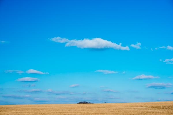 Blue;Blues;Brown;Calm;Clouds;Concepts;Cool Colors;Cool Palette;Cool Tones;Gold;Healing;Health care;Healthcare;Looking up;Minimalism;Nature;Oneness;Pastoral;Sunlight;Sunshine;Tan;Warm Colors;Warm Palette;Warm Tones;blue;blue sky;color;field;grass;landscape;pasture;peaceful;plants;restful;serene;sky;soothing;sunlit;tranquil;zen