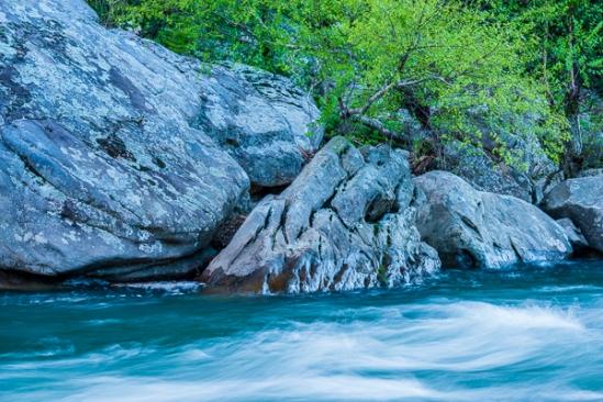 Boulder;Boulders;Branches;Calm;Cascade;Cascading;Chute;Cool;Creek;Falling;Falls;Flow;Flowers & Plants;Healing;Health care;Healthcare;Minimalism;Nature;Obed Wild and Scenic Riverway;Pastoral;Pouring;River;Rock;Rock formations;Rocks;Rocky;Spilling;Stone;Stones;Stream;Stream Bank;Streaming;Tree;Water;Waterfalls;Waterscape;branch;flowing;green;landscape;leaves;limbs;obed;oneness;peaceful;plants;rapids;restful;river bank;serene;soothing;striation;tranquil;tree limbs;trees;waterfall;wet;zen