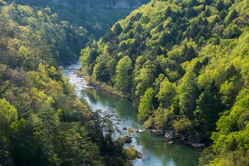 Blue;Boulder;Boulders;Forest;Green;Obed Wild and Scenic Riverway;Peaceful;Reflection;Reflections;Ripple;River;Rocks;Rocky;Shoreline;Stream;Timber;Tranquility;Water;obed;tranquil;winding