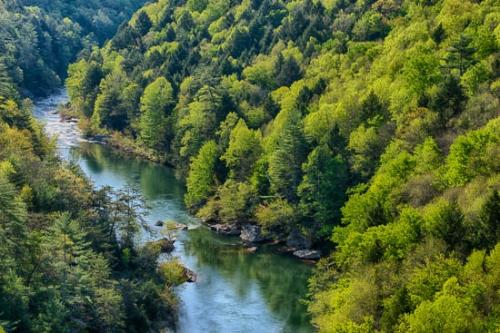 Blue;Boulder;Boulders;Forest;Green;Obed Wild and Scenic Riverway;Peaceful;Reflection;Reflections;Ripple;River;Rocks;Rocky;Shoreline;Stream;Timber;Tranquility;Water;obed;tranquil;winding