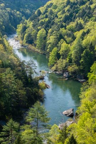 Blue;Boulder;Boulders;Forest;Green;Obed Wild and Scenic Riverway;Peaceful;Reflection;Reflections;Ripple;River;Rocks;Rocky;Shoreline;Stream;Timber;Tranquility;Water;obed;tranquil;winding