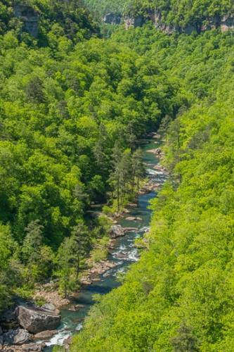 Aqua;Bluff;Boulder;Boulders;Calm;Canyon;Creek;Flow;Forest;Forested;Gorge;Healing;Health care;Healthcare;Little River Canyon National Preserve;Mountain Side;Nature;Pastoral;River;Rivers;Rock;Rock Face;Rock formations;Rocks;Rocky;Spring;Springtime;Stone;Stones;Stream;Stream Bank;Tan;Timber;Timberland;Tree;Valley;Water;Waterscape;Wood;Woodland;Woods;blue;botanicals;cliff;flowing;green;hillside;landscape;leaves;oneness;peaceful;rapids;restful;river bank;serene;soothing;tranquil;trees;zen