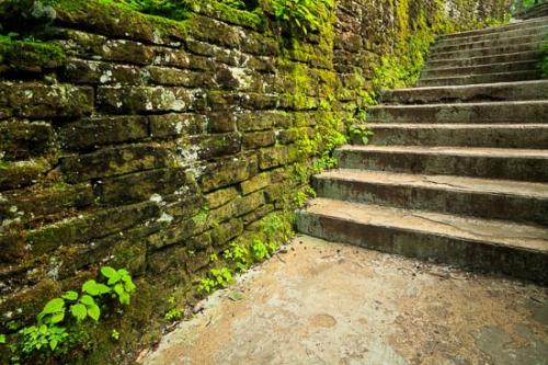 Footpath;Indiana;Journey;Oneness;Peaceful;Stairs;Stairway;Steps;Stone;Trail;Walk;Woodland;path;pathway;zen