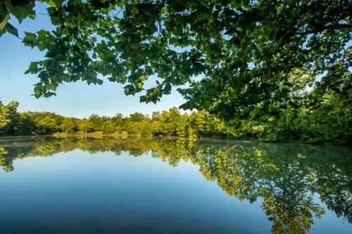 Blue;Branches;Calm;Forest;Forested;Healing;Health care;Healthcare;Mirror;Nature;Ohio;Pastoral;Reservoir;Seasons;Spring;Springtime;Sunlight;Sunshine;Timber;Timberland;Tree;Water;Waterscape;Woodland;Woodlands;Woods;branch;foliage;green;lake;landscape;leaves;oneness;peaceful;plant;pond;pool;reflection;reflections;restful;serene;sky;soothing;sunlit;tranquil;tree limbs;trees;zen
