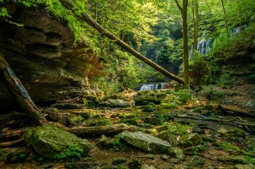 Bluff;Boulder;Boulders;Brown;Cascade;Chute;Cliff;Creek;Falls;Flow;Forest;Forested;Green;Landscape;Leaves;Machine Falls;Nature;Plant;Pouring;Rapids;River;Rock;Rock Formations;Rocks;Rocky;Short Springs State Natural Area;Stone;Stones;Stream;Stream Bank;Streaming;Tan;Tennessee;Timber;Timberland;Trees;Water;Waterfall;Waterfalls;Wood;Woodland;Woods;botanical;botanicals;flowing;greenery;vegetation
