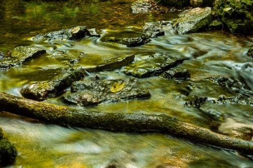 Brown;Cascade;Cascading;Fallen Leaves;Flow;Gold;Leaf;Leaves;Moss;Orange;Pouring;Reflection;Reflections;Ripple;Rock;Rocks;Short Springs State Natural Area;Stone;Stones;Stream;Streaming;Water;Wet;Yellow;klog